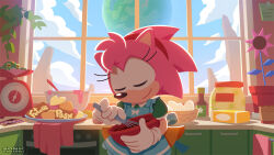 Rule 34 | 1girl, amy rose, apron, blue sky, bowl, cloud, commentary request, cookie, egg, flower, food, frog, froggy (sonic), furry, furry female, gloves, hairband, holding, holding bowl, holding whisk, official art, plant, potted plant, sky, smile, sonic (series), sonic the hedgehog (classic), stove, uno yuuji, whisk, white gloves