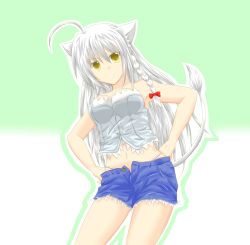 Rule 34 | 10s, 1girl, ahoge, animal ears, bare shoulders, braid, breasts, cat tail, denim, denim shorts, dog days, female focus, hands on own hips, highres, leonmitchelli galette des rois, long hair, midriff, navel, open fly, panties, short shorts, shorts, solo, tail, thong, unbuttoned, underwear, unzipped, white hair, yellow eyes