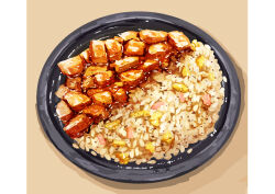 Rule 34 | food, food focus, fried rice, highres, kaneko ryou, mapo tofu, no humans, original, plate, rice, still life, tofu