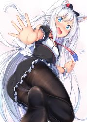 Rule 34 | 1girl, american flag, american flag print, animal ears, apron, ass, azur lane, black dress, blue eyes, blush, bow, cat ears, commentary request, dress, fang, feet, fine fabric emphasis, flag print, flying sweatdrops, frilled apron, frills, gurande (g-size), hair between eyes, hair bow, hammann (azur lane), highres, long hair, looking at viewer, looking back, no shoes, nose blush, one side up, open mouth, outstretched arm, panties, panties under pantyhose, pantyhose, print neckwear, puffy short sleeves, puffy sleeves, red bow, short sleeves, sidelocks, silver hair, soles, solo, striped clothes, striped panties, thighband pantyhose, underwear, very long hair, waist apron, white apron, wrist cuffs