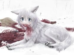 Rule 34 | 1girl, :p, animal ears, blonde hair, blood, blood in hair, blood on face, blue eyes, corpse, dismemberment, diu9you, guro, hair between eyes, highres, intestines, organs, original, ribs, severed leg, severed limb, snow, solo, tongue, tongue out, white fur, white hair, wolf ears, wolf girl