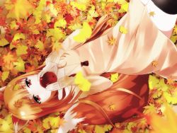 Rule 34 | 1girl, animal ears, apple, autumn, autumn leaves, brown hair, food, fruit, ginkgo tree, holo, leaf, long hair, lying, maple leaf, on back, pouch, red eyes, sakura (0tjagjmgptjm), solo, spice and wolf, tail, wolf ears, wolf tail
