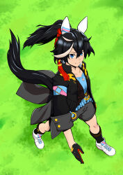 Rule 34 | 1girl, absurdres, animal ears, belt, black gloves, black hair, black shorts, black socks, blue eyes, blue shirt, bluetec3h, boots, button gap, closed mouth, commentary request, ear covers, from above, full body, gloves, hair ornament, highres, horse ears, horse girl, horse tail, katsuragi ace (umamusume), kneehighs, long sleeves, looking at viewer, multicolored hair, on grass, outdoors, ponytail, red gloves, shirt, shoes, shorts, smile, sneakers, socks, solo, standing, streaked hair, tail, tassel, tassel hair ornament, teeth, two-tone gloves, umamusume, white footwear, white hair