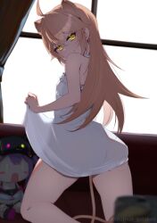 Rule 34 | 1girl, absurdres, ahoge, animal ears, breasts, brown hair, closed mouth, clothes lift, curtains, highres, hololive, indie virtual youtuber, indoors, inuinuo gataken, kneeling, lifting own clothes, lion ears, lion girl, lion tail, long hair, looking at viewer, looking back, rurudo lion, rurudo lion (1st costume), shirt, shirt lift, small breasts, smile, stuffed toy, tail, tokoyami towa, tokoyami towa (1st costume), virtual youtuber, white shirt, window, yellow eyes