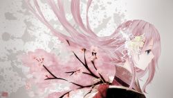 Rule 34 | 1girl, bad id, bad pixiv id, blue eyes, branch, cherry blossoms, flower, hair ornament, hairpin, highres, itamidome, japanese clothes, kimono, long hair, megurine luka, pink hair, profile, ribbon, solo, vocaloid, wallpaper