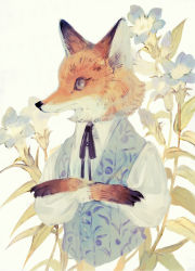 Rule 34 | animal, animal focus, animal in clothes, black neckwear, blue eyes, blue vest, bow, crossed arms, floral background, floral print, flower, fox, highres, looking to the side, no humans, original, portrait, ribbon, shirt, tono (rt0no), upper body, vest, white shirt