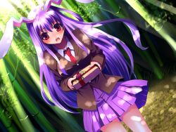 Rule 34 | 1girl, animal ears, bad id, bad pixiv id, bamboo, bamboo forest, blazer, blush, dutch angle, female focus, forest, gift, holding, holding gift, incoming gift, jacket, kobanzame, long hair, nature, necktie, purple hair, rabbit ears, red eyes, red necktie, reisen udongein inaba, religious offering, skirt, solo, touhou, valentine, very long hair