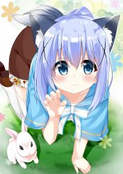 Rule 34 | 1girl, all fours, alternate costume, animal, animal ears, blue eyes, blue hair, blush, brown footwear, brown skirt, cacao (cacao0809), capelet, closed mouth, collarbone, commentary request, flat chest, floral background, floral print, flower (symbol), from above, gochuumon wa usagi desu ka?, grass, hair between eyes, hair ornament, hairclip, highres, kafuu chino, kemonomimi mode, light blue hair, long hair, looking at viewer, paw pose, ponytail, rabbit, ribbon, shirt, shoes, sidelocks, skirt, striped ribbon, tail, thighhighs, white shirt, white thighhighs, wolf ears, wolf tail, x hair ornament