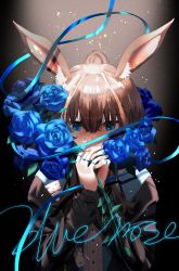 Rule 34 | 1girl, absurdres, amiya (arknights), animal ear fluff, animal ears, arknights, black jacket, blue eyes, blue flower, blue rose, brown hair, commentary request, coumibuzzbuzz, covered mouth, english text, flower, hair between eyes, hands up, highres, jacket, long hair, long sleeves, looking at viewer, ponytail, rabbit ears, rose, solo, upper body