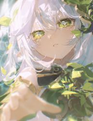 1girl bare_shoulders blurry blurry_foreground blush commentary_request cross-shaped_pupils depth_of_field detached_sleeves eyelashes genshin_impact gold_trim green_eyes green_sleeves hair_between_eyes hair_ornament highres leaf_hair_ornament long_hair looking_at_viewer nahida_(genshin_impact) outstretched_arm outstretched_hand parted_lips pointy_ears short_sleeves sidelocks sleeveless solo symbol-shaped_pupils tears upper_body white_hair yurayura_(mdeh5447)