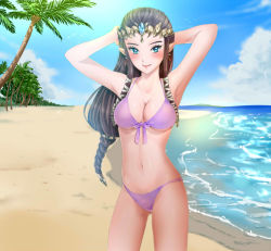Rule 34 | 1girl, armpits, arms behind head, beach, bikini, blue eyes, breasts, brown hair, day, large breasts, long hair, looking at viewer, navel, nintendo, outdoors, pointy ears, princess zelda, sky, smile, solo, super smash bros., swimsuit, the legend of zelda, the legend of zelda: twilight princess, wasabi (legemd)