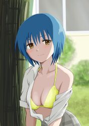 Rule 34 | &gt;:), 1girl, bikini, blue hair, blush, breasts, cleavage, closed mouth, collared shirt, commentary request, day, eyelashes, green bikini, highres, little busters!, little busters! school uniform, looking at viewer, medium breasts, nishizono midori, open clothes, open shirt, outdoors, piyo (kinkooo333), school uniform, seductive smile, shirt, short hair, short sleeves, single bare shoulder, smile, solo, swimsuit, tsurime, upper body, v-shaped eyebrows, white shirt, yellow eyes