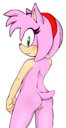 Rule 34 | 1girl, amy rose, anus, ass, furry, green eyes, headband, jetfrozen, looking at viewer, looking back, pink hair, pussy, sega, sonic (series), tail