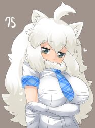 Rule 34 | 1girl, :3, ahoge, animal ear fluff, animal ears, arm under breasts, blush, breasts, brown background, closed mouth, commentary request, elbow gloves, fur collar, gloves, grey eyes, heart, highres, kemono friends, large breasts, lets0020, lion ears, lion girl, long hair, looking at viewer, medium bangs, numbered, removing glove, shirt, short sleeves, simple background, smile, solo, upper body, very long hair, white gloves, white hair, white lion (kemono friends), white shirt