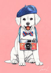 Rule 34 | animal, beret, black eyes, blue headwear, blue stripes, bow, bowtie, camera, dog, hat, no humans, open mouth, original, pink background, red stripes, signature, simple background, striped bow, striped bowtie, striped clothes, striped neckwear, takigraphic, white dog