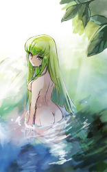 Rule 34 | 1girl, ass, bad id, bad pixiv id, breasts, c.c., code geass, completely nude, day, from above, green hair, long hair, looking at viewer, looking back, medium breasts, nude, outdoors, parted lips, partially submerged, shida (xwheel), solo, water, yellow eyes