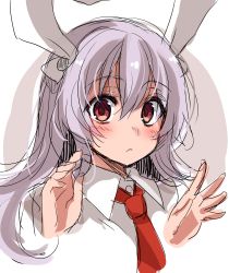Rule 34 | 1girl, animal ears, asa (coco), blush, collared shirt, dress shirt, eyebrows, hair between eyes, hands up, long hair, looking at viewer, necktie, rabbit ears, red eyes, red necktie, reisen udongein inaba, shirt, silver hair, sketch, solo, tareme, touhou, upper body, wing collar