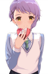 Rule 34 | 1girl, blue shirt, box, box of chocolates, checkered necktie, collar, commentary, green necktie, hair ornament, hairclip, hand up, happy valentine, heart-shaped box, highres, holding, holding box, idolmaster, idolmaster million live!, idolmaster million live! theater days, light blush, long sleeves, looking at viewer, makabe mizuki, necktie, official alternate hairstyle, purple hair, shirt, short bangs, short hair, single sidelock, smile, solo, tetsujin momoko, upper body, valentine, vest, white background, white collar, white vest, wing collar, yellow eyes
