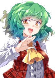 Rule 34 | 1girl, :d, ascot, blush, breasts, collared shirt, e.o., green hair, highres, kazami yuuka, long sleeves, looking at viewer, medium breasts, messy hair, ojou-sama pose, open mouth, plaid, plaid vest, red eyes, shirt, short hair, simple background, smile, solo, touhou, upper body, vest, wavy hair, white background