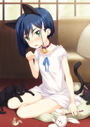 Rule 34 | 10s, 1girl, animal, animal ears, bell, neck bell, blue hair, breasts, cat, cat ears, cat tail, cat teaser, collar, collarbone, commentary request, couch, darling in the franxx, dress, enoob40, green eyes, hair ornament, hairclip, highres, ichigo (darling in the franxx), indoors, looking at viewer, open mouth, paw pose, pillow, short hair, sitting, sitting on pillow, sleeveless, sleeveless dress, small breasts, solo, stuffed animal, stuffed cat, stuffed toy, tail, v-shaped eyebrows, window