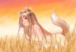 Rule 34 | 1girl, all fours, animal ears, artist name, brown hair, highres, holo, lips, long hair, looking at viewer, looking to the side, nude, outdoors, red eyes, solo, spice and wolf, sunset, tail, wheat field, yonemura kouichirou