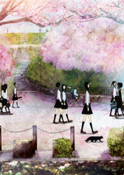 Rule 34 | 6+girls, black hair, cat, cherry blossoms, multiple girls, original, petals, scenery, school uniform, serafuku, shigureteki, walking