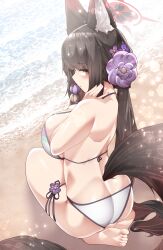 Rule 34 | 1girl, absurdres, animal ear fluff, animal ears, bare back, bare shoulders, barefoot, beach, blue archive, breasts, brown hair, commentary request, dated commentary, flower, fox ears, fox tail, hair flower, hair ornament, highres, large breasts, looking at viewer, purple flower, samip, sitting, solo, tail, thighs, wakamo (blue archive), yellow eyes