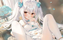 Rule 34 | animal ears, anklet, azur lane, bare shoulders, blue flower, blue rose, blush, bouquet, breasts, brooch, chen bin, chinese commentary, collarbone, commentary request, criss-cross halter, cropped, dress, fake animal ears, falling petals, fine fabric emphasis, flower, gloves, hair between eyes, hair flower, hair ornament, halter dress, halterneck, indoors, jewelry, laffey (azur lane), laffey (white rabbit&#039;s oath) (azur lane), legs apart, long hair, looking at viewer, open mouth, pantyhose, petals, rabbit ears, rose, sidelocks, silver hair, single glove, small breasts, twintails, wedding dress, white dress, white gloves, white pantyhose, yellow eyes