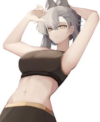 Rule 34 | 1girl, absurdres, animal ears, arknights, armpits, arms up, breasts, commentary, crop top, grey hair, highres, large breasts, medium hair, midriff, navel, penance (arknights), solo, sports bra, stomach, upper body, wolf ears, yellow eyes, yuu azma