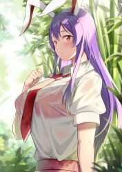 Rule 34 | 1girl, :/, absurdres, animal ears, bra, breasts, bush, forest, highres, long hair, looking at viewer, nagomian, nature, necktie, outdoors, purple hair, rabbit ears, red necktie, reisen udongein inaba, see-through, see-through shirt, shirt, solo, touhou, tree, underwear, wet, wet clothes