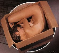 Rule 34 | 1girl, box, cardboard, cardboard box, in box, in container, nipples, nude, photo (medium), solo