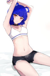 Rule 34 | 1girl, 2022, animal ears, arms up, bed sheet, blue hair, blue nails, breasts, highres, looking at viewer, medium hair, nail polish, navel, original, red eyes, shorts, shuuzo3, sitting, small breasts, solo, stomach, white background