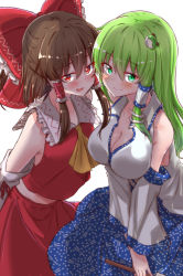 Rule 34 | 2girls, ascot, blue skirt, blush, bow, breasts, brown hair, cleavage, closed mouth, commentary request, detached sleeves, frog hair ornament, green eyes, green hair, hair between eyes, hair bow, hair ornament, hair tubes, hakurei reimu, highres, kochiya sanae, large breasts, long hair, looking at viewer, midriff peek, mukkushi, multiple girls, open mouth, red bow, red eyes, red skirt, red vest, sidelocks, simple background, skirt, skirt set, smile, snake hair ornament, sweat, touhou, vest, white background, yellow ascot