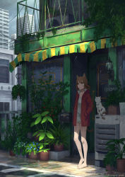 Rule 34 | 1girl, absurdres, animal ears, building, cat ears, cat girl, city, cloud, cloudy sky, day, door, hanagamigendai, highres, original, patch, plant, potted plant, rain, road, scenery, shadow, sky, solo, standing, street, sunlight, wide shot, window