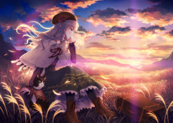 Rule 34 | 1girl, bad id, bad pixiv id, beret, blonde hair, boots, capelet, cat, head rest, cloud, feathers, field, green eyes, hat, long hair, megumu, original, pantyhose, skirt, sky, solo, suitcase, sunset, wind
