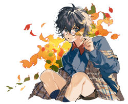 Rule 34 | 1boy, ahoge, autumn leaves, black hair, blue eyes, commentary, english commentary, glasses, kyouichi, leaf, male focus, maple leaf, medium hair, original, plaid, simple background, solo, sweater, teeth, white background