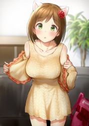 Rule 34 | 10s, 1girl, animal ears, aran sweater, beige dress, beige sweater, blush, breasts, brown hair, cable knit, cardigan, cat ears, collarbone, dress, flower, green eyes, hair flower, hair ornament, highres, idolmaster, idolmaster cinderella girls, indoors, large breasts, looking at viewer, maekawa miku, off shoulder, open cardigan, open clothes, open mouth, ribbed dress, ribbed sweater, rose, short hair, solo, sweater, sweater dress, takeashiro