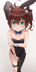 Rule 34 | 1girl, absurdres, ahoge, animal ears, arm across waist, asymmetrical clothes, asymmetrical legwear, bare shoulders, black leotard, blue bow, blush, bow, bowtie, brown hair, cat hair ornament, covered navel, covering privates, covering crotch, detached collar, fake animal ears, flat chest, gradient background, green eyes, hair between eyes, hair ornament, highres, hololive, huge filesize, leotard, long hair, looking at viewer, natsuiro matsuri, pantyhose, playboy bunny, rabbit ears, side ponytail, simple background, single leg pantyhose, single pantsleg, solo, sr-nagi, strapless, strapless leotard, thigh strap, uneven legwear, virtual youtuber, white background, wrist cuffs