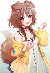 Rule 34 | 1girl, :d, absurdres, animal ears, blush, bone hair ornament, braid, breasts, brown hair, choker, cleavage, commentary, cowboy shot, dog ears, dog girl, dog tail, dress, fang, gradient background, grey background, hair between eyes, hair ornament, highres, hololive, inugami korone, inugami korone (1st costume), jacket, kawachi rin, looking at viewer, medium breasts, medium hair, off shoulder, open clothes, open jacket, open mouth, paw pose, red choker, red eyes, side braids, simple background, skin fang, smile, solo, tail, twin braids, virtual youtuber, white background, white dress, yellow jacket
