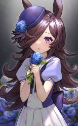 Rule 34 | 1girl, animal ears, black bow, blouse, blue bow, blue flower, blue hat, blue rose, blue shirt, blurry, blurry background, blush, bow, brown hair, commentary request, depth of field, flower, hair over one eye, hands up, hat, hat flower, highres, holding, holding flower, horse ears, lerome, long hair, looking at viewer, parted lips, pleated skirt, puffy short sleeves, puffy sleeves, purple eyes, purple shirt, rice shower (umamusume), rose, school uniform, shirt, short sleeves, skirt, solo, tilted headwear, tracen school uniform, umamusume, very long hair, white skirt