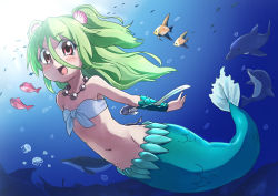 Rule 34 | 1girl, bad id, bad pixiv id, blush, clam, dolphin, fish, green hair, hair ornament, jellyfish, jewelry, long hair, mermaid, monster girl, muromi-san, namiuchigiwa no muromi-san, navel, necklace, open mouth, red eyes, seashell, shell, tokumaro, twintails, two side up, underwater