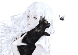 Rule 34 | 1girl, animal, black cat, bug, butterfly, cat, highres, holding, holding animal, holding cat, insect, long hair, looking at viewer, original, shirone (coxo ii), shirt, short sleeves, simple background, solo, upper body, white background, white eyes, white hair, white shirt