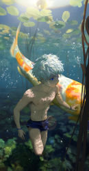 Rule 34 | 1boy, air bubble, blue eyes, blue male swimwear, blue shorts, blue swim trunks, bubble, closed mouth, collarbone, commentary, diaodiao, fish, grey hair, highres, hunter x hunter, killua zoldyck, lens flare, lily pad, linea alba, looking to the side, male focus, male swimwear, messy hair, navel, short hair, shorts, solo, sunlight, swim trunks, swimsuit, thighs, toned, underwater, walking, wristband