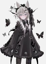 Rule 34 | 1girl, animal ears, arms at sides, black dress, black pantyhose, bug, butterfly, chiemo (xcem), cross-laced clothes, cross-laced sleeves, dress, fox ears, gothic lolita, grey hair, hairband, highres, insect, lace-trimmed hairband, lace trim, lolita fashion, lolita hairband, long sleeves, original, pantyhose, short hair, sleeves past fingers, sleeves past wrists, smile