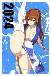 Rule 34 | 1girl, 2024, absurdres, breasts, dead or alive, gians noby, highres, kasumi (doa), large breasts, long hair, solo
