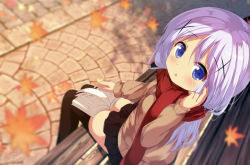 Rule 34 | 1girl, :o, autumn leaves, bad id, bad pixiv id, bench, black skirt, black thighhighs, blue eyes, blurry, blurry background, blush, book, brown cardigan, cardigan, chinomaron, commentary request, depth of field, from above, gochuumon wa usagi desu ka?, hair between eyes, hair ornament, tucking hair, hand up, kafuu chino, leaf, long hair, long sleeves, looking at viewer, looking up, maple leaf, on bed, open book, park bench, parted lips, pleated skirt, purple hair, red scarf, scarf, sitting, skirt, solo, thighhighs, very long hair, x hair ornament