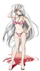 Rule 34 | 1girl, akashiya moka, artist request, barefoot, bikini, breasts, chain, cleavage, closed mouth, collar, feet, full body, gluteal fold, highres, inner moka, large breasts, long hair, navel, official art, pink bikini, red eyes, rosario+vampire, shadow, silver hair, slit pupils, solo, standing, swimsuit, transparent background, very long hair