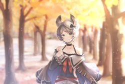 Rule 34 | 1girl, autumn leaves, bare shoulders, blurry, blush, closed mouth, collarbone, day, depth of field, erune, granblue fantasy, grey eyes, grey hair, hand up, highres, long sleeves, looking at viewer, mole, mole under mouth, myusha, outdoors, short hair, smile, solo, sutera (granblue fantasy)