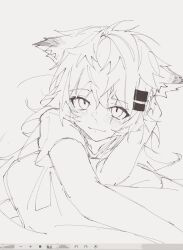 Rule 34 | 1girl, animal ears, arknights, art program in frame, blush, closed mouth, greyscale, hair ornament, hairclip, highres, lappland (arknights), light smile, looking at viewer, messy hair, monochrome, sato (lappysuki), scar, scar across eye, shirt, simple background, sketch, solo