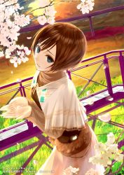 Rule 34 | 1girl, blue eyes, bridge, brown hair, chef no kimagure salad, cherry blossoms, copyright name, cover, cover page, flower, green eyes, holding hands, haunted campus, looking at viewer, mikipuruun no naegi, nada koyomi, official art, profile, scarf, short hair, skirt, smile, solo, sunset, twilight, water, watermark